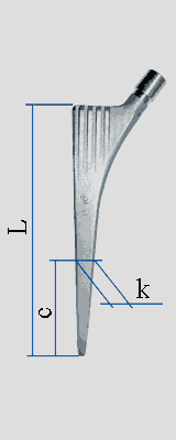 Ножка эндопротеза